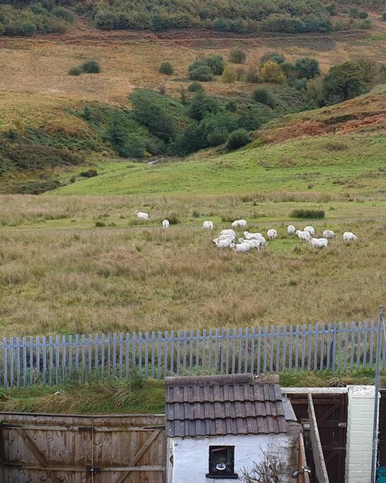 Welsh Miners Cottage Four Bedroom House Treherbert エクステリア 写真